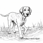 Plott Hound on the Hunt Coloring Pages 3