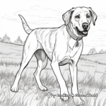 Plott Hound on the Hunt Coloring Pages 4