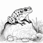 Poison Dart Frog Habitat Coloring Pages 3