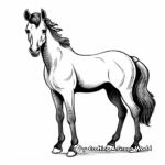 Pony Foal Coloring Pages for Pony Lovers 2