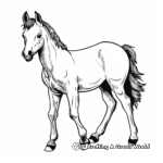 Pony Foal Coloring Pages for Pony Lovers 4