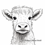 Portrait of Highland Cow Coloring Pages for Teens 1