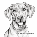Portrait Style Chocolate Lab Coloring Pages for Adults 2