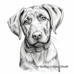 Portrait Style Chocolate Lab Coloring Pages for Adults 3