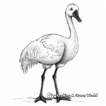 Posing Flamingo Zoo Coloring Pages 1
