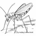 Praying Mantis and Prey Coloring Pages 4