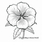 Pretty Petunia Flower Coloring Pages 4
