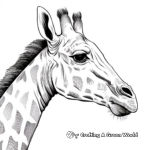 Profile View of Giraffe Head Coloring Pages 2