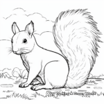 Quiet Squirrel Coloring Pages 3