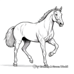 Racing Arabian Horse Coloring Pages 3