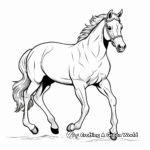 Racing Arabian Horse Coloring Pages 4