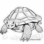 Radiated Tortoise from Madagascar Coloring Sheets 2