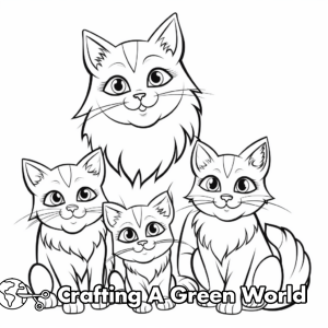 Ragdoll Coloring Pages - Free & Printable!