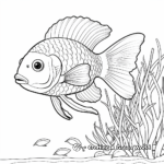 Rainbow Fish with Coral Reef Background Coloring Pages 4