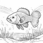 Rainbow Trout: Nature Scenery Coloring Pages 4