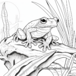Rainforest Escape: Red Eyed Tree Frog Coloring Pages 1