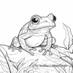 Rainforest Escape: Red Eyed Tree Frog Coloring Pages 2