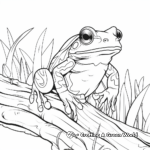 Rainforest Escape: Red Eyed Tree Frog Coloring Pages 4