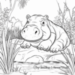 Rainforest Pygmy Hippo Coloring Pages 2