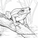 Rainforest Wildlife: Red Eyed Tree Frog Coloring Page 1