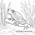 Rainforest Wildlife: Red Eyed Tree Frog Coloring Page 2