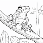 Rainforest Wildlife: Red Eyed Tree Frog Coloring Page 4
