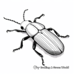 Rare Click Beetle Coloring Pages 1