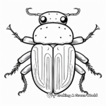 Rare Click Beetle Coloring Pages 2