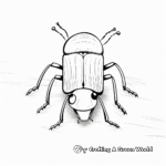 Rare Click Beetle Coloring Pages 4
