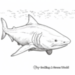 Rare Golden Bull Shark Coloring Pages 1