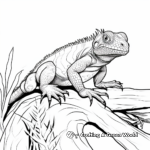 Rare Spinytail Iguana Coloring Pages 4