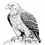 Rare USA Endemic Animals Coloring Pages 3