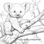 Realistic Adult Koala Coloring Pages 4