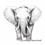 Realistic and Detailed Elephant Facial Features Coloring Pages 2