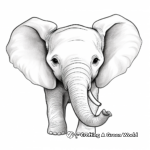Realistic and Detailed Elephant Facial Features Coloring Pages 4