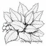 Realistic Autumn Leaves Coloring Pages 3