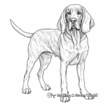Realistic Bloodhound Coloring Pages for Adults 1