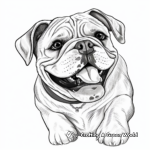 Realistic Bulldog Portrait Coloring Pages 2