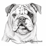 Realistic Bulldog Portrait Coloring Pages 3