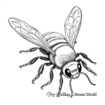 Realistic Bumblebee Coloring Pages 3