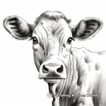 Realistic Cow Face Coloring Pages 3