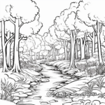 Realistic Deciduous Forest Coloring Sheets 2