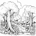 Realistic Deciduous Forest Coloring Sheets 3