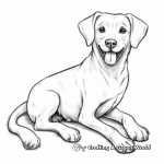 Realistic Dog Bone Coloring Pages for Adults 1