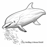 Realistic Dolphin Coloring Pages 1