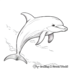 Realistic Dolphin Coloring Pages 2