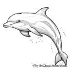 Realistic Dolphin Coloring Pages 4