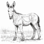 Realistic Donkey Portraits Coloring Pages 1