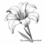Realistic Easter Lily Coloring Sheets 4