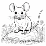 Realistic Field Mouse Coloring Pages 1